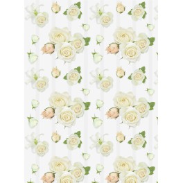 WEDDING ROSES VALUE GIFTWRAP