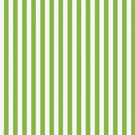 LME GRN STRIPE GFTWRAP 30"X5FT