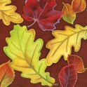 16 CRISP LEAVES LUNCH NAP