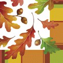 20 ACORN STRIPE LUNCH NAP