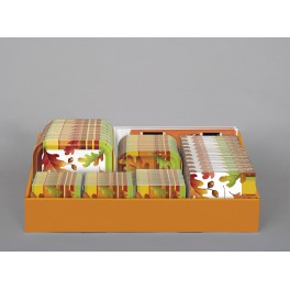 ACORN STRIPE QXS-NC DISP-84 PC