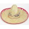 ADULT SOMBRERO W/CHECK TRIM