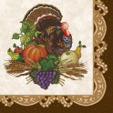16 HARVEST TURKEY BEV NAP