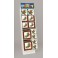 HOLLY SPRIG QT DISPLAY-130 PC