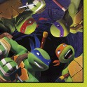 16 TMNT BEVERAGE NAPKINS