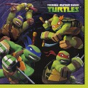 16 TMNT LUNCH NAPKINS
