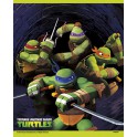 8 TMNT LOOTBAGS