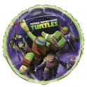 18" PKG TMNT FOIL BLLN