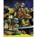 TMNT GIFTBAG-LARGE