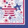 16 USA FIREWORKS BEV NAPS