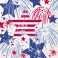 16 USA FIREWORKS LUNCH NAPS