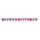 WILD BIRTHDAY LG JTD BANNER