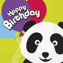 16 BDAY PANDA LUNCH NAP