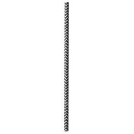 10 DESIGNER BDAY PAPER STRAWS