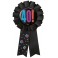 BDAY CHEER AWARD RIBBON-40