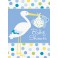 8 BABY BOY STORK INVITES