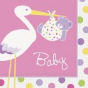 16 BABY GIRL STORK LUNCH NAP