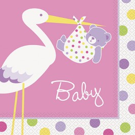 16 BABY GIRL STORK LUNCH NAP
