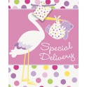 BABY GIRL STORK GIFTBAG-LARGE