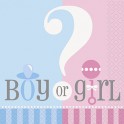 Gender Reveal beverage napkins