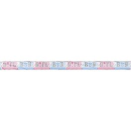 Gender Reveal 12' banner