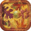 10 FALL BEAUTY 7" SQR PLT
