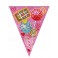 SWEET VALENTINE FLAG BNNR-12FT