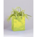 MINI GIFTBG BLN WT-LM GRN PRSM