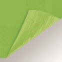 LIME GRN PPR-PLY TBLCVR 54X108