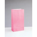 12 PPR PARTY BAGS -PASTEL PINK