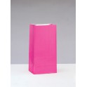 12 PPR PARTY BAGS -HOT PINK