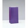 12 PPR PARTY BAGS -DEEP PURPLE