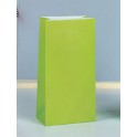 12 PPR PARTY BAGS-LIME GREEN