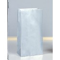 10 PPR PRTY BAGS-SILVER METLLC