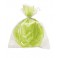 6 LGE CELLO BAGS CLEAR 16X20''