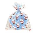 4 SANTA LGE CELLO BAGS