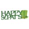 HAPPY ST PATS DELUXE 3D CNTRPC