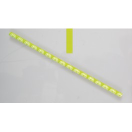 10 SUMMER CITIRUS PAPER STRAW