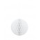 HONEYCOMB BALL 8" WHITE