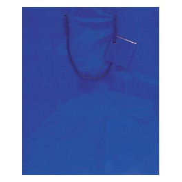 SOLID PRIMARY GIFTBAG ASST-LRG