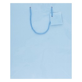 SOLID PASTEL GIFTBAG ASST-LRG