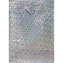 SOLID HOLOGR GIFTBAG ASST-JUMB