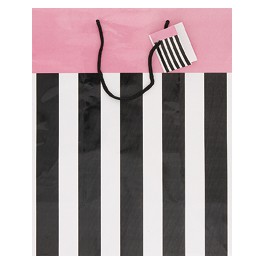 PARTY STRIPES GIFTBAG ASST-LRG