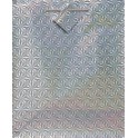 SOLID HOLOGR GIFTBAG ASST-LRG