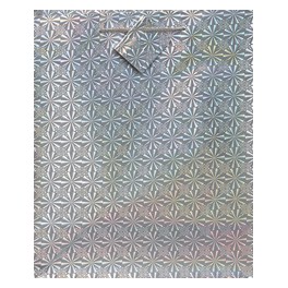 SOLID HOLOGR GIFTBAG ASST-LRG
