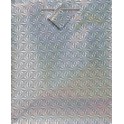 SOLID HOLOGR GIFTBAG ASST-MED