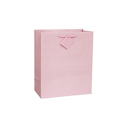 PASTL PINK GIFTBAG -LGE GLOSSY