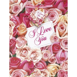 LOVE ROSES MED GLSSY GIFT BAGS