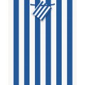 RYL BLUE STRIPE GIFT BAG-MED
