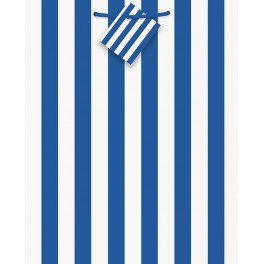 RYL BLUE STRIPE GIFT BAG-MED